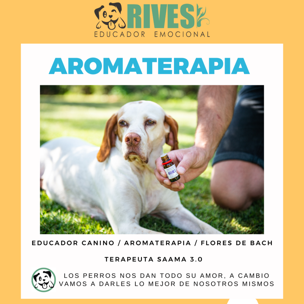 1 sesión de Aromaterapia Presencial Rives Aromaterapia Canina